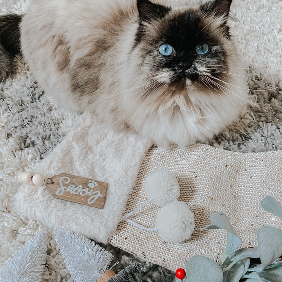 👋🏼H E Y, I T' S  T A Y. 🤎 ✨ - Picture 6 of 16